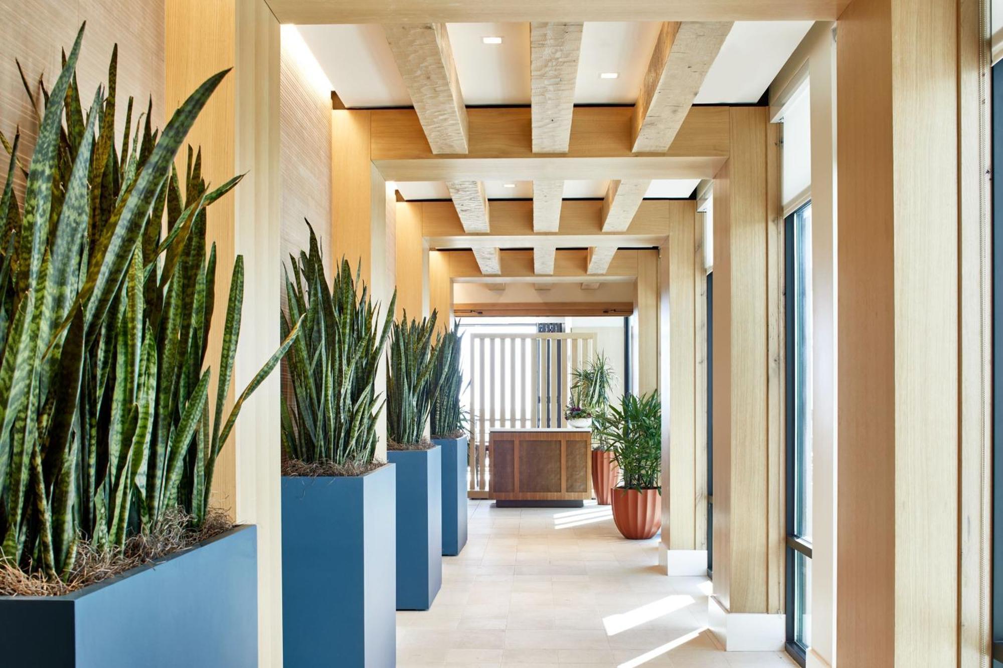 Springhill Suites By Marriott Jacksonville Beach Oceanfront Eksteriør bilde